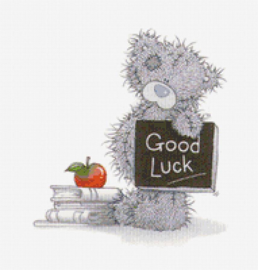 Мишка тедди ученик - мишка тедди, мишки, медведь - предпросмотр