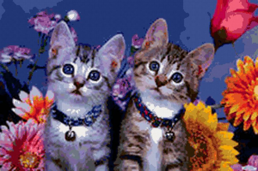 Котятки - предпросмотр