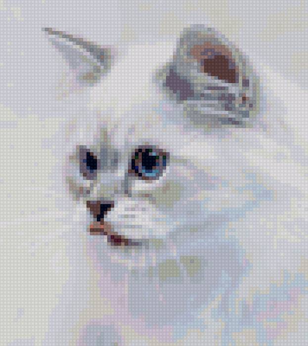 Котик - предпросмотр