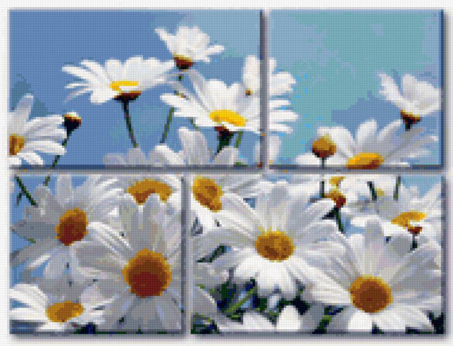 №166173 - предпросмотр