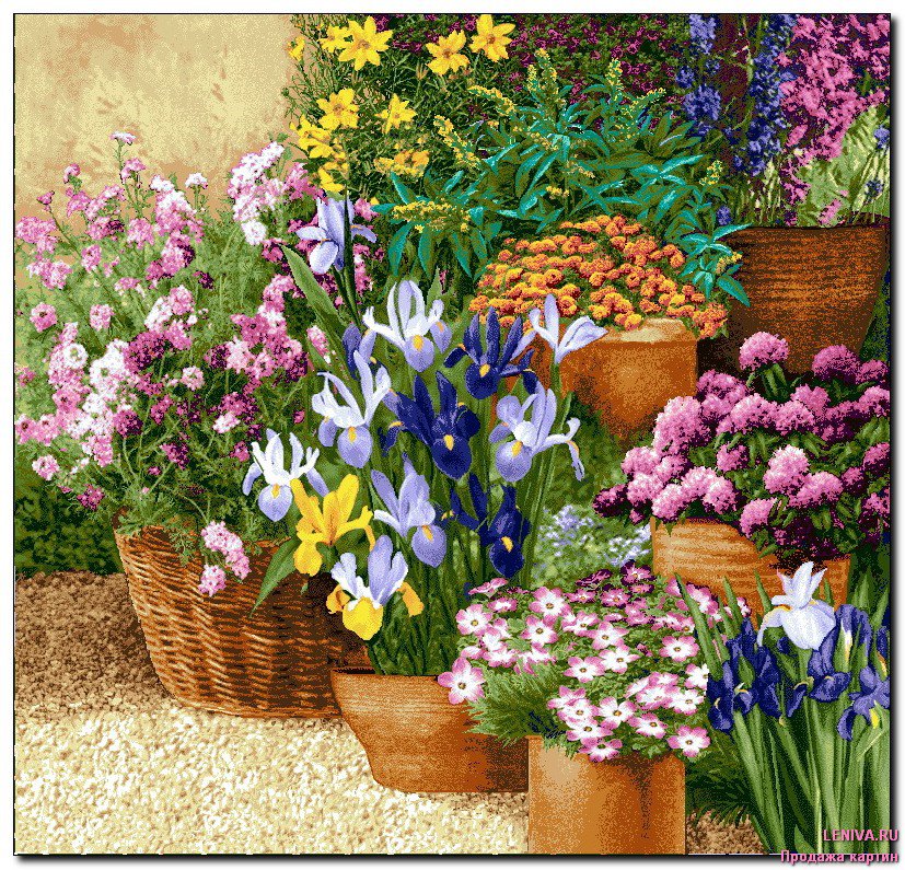 Цветочные корзины - цветы - оригинал