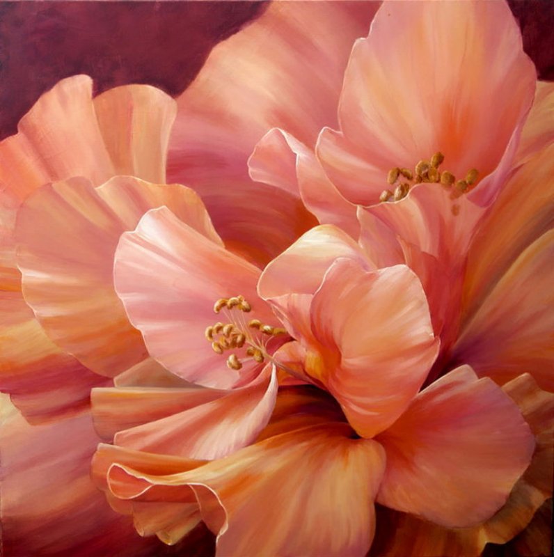 гибискус - цветы - оригинал