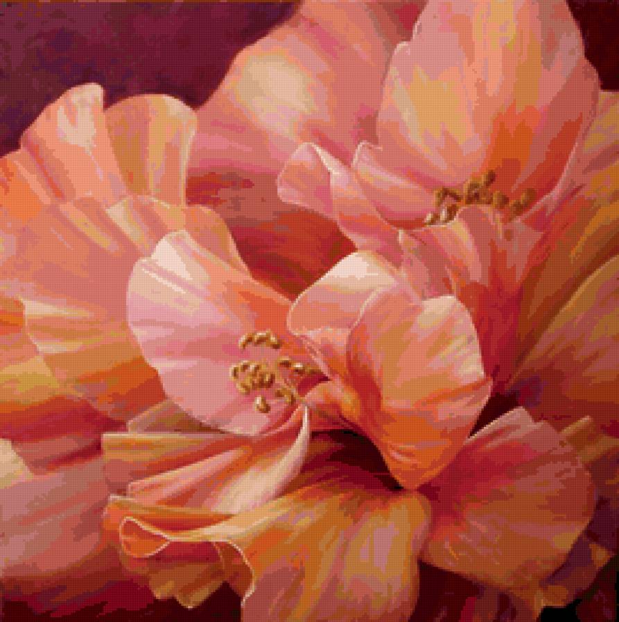 гибискус - цветы - предпросмотр