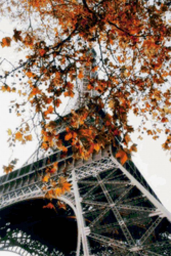 Париж осенью - париж, осенняя веточка, эйфелева башня, франция - предпросмотр