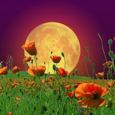 Схема вышивки «№166297»