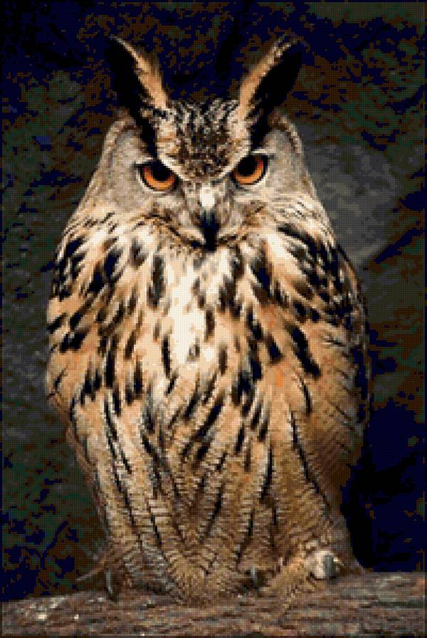 Серия "Птицы" - филины, птицы, совы - предпросмотр