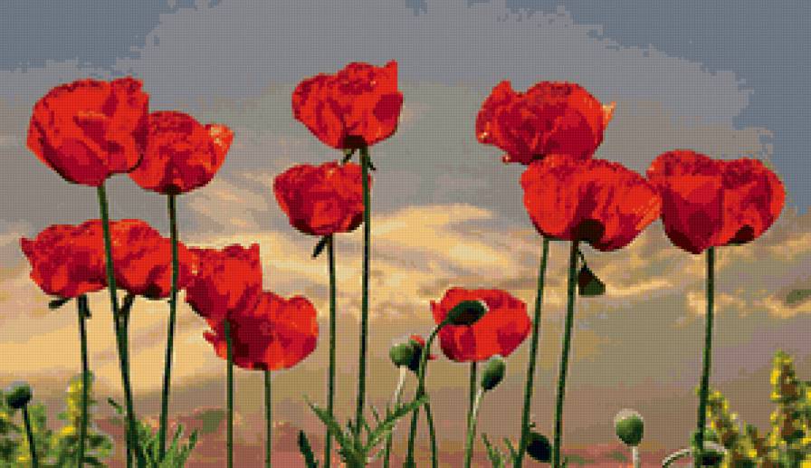 №166333 - предпросмотр