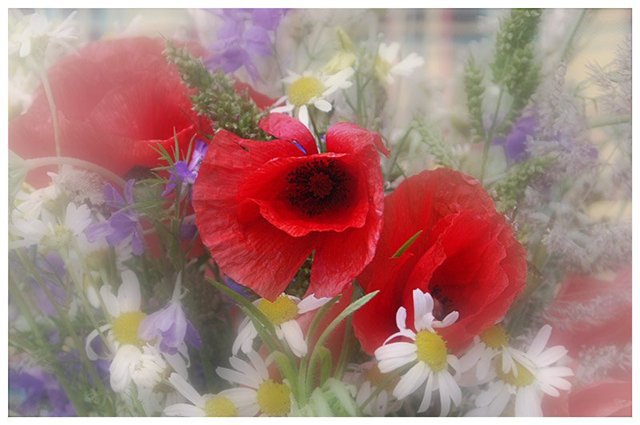 №166358 - оригинал