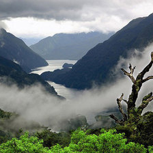 Схема вышивки «№166443»