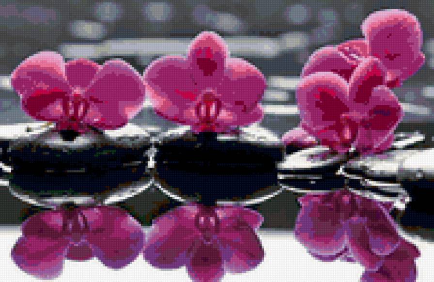 №166447 - предпросмотр