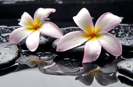 №166451 - оригинал