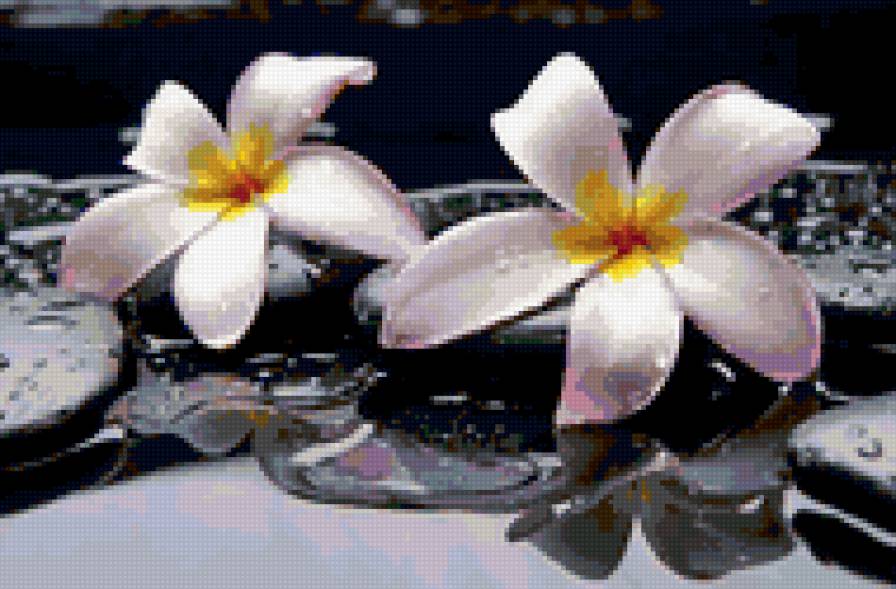 №166451 - предпросмотр