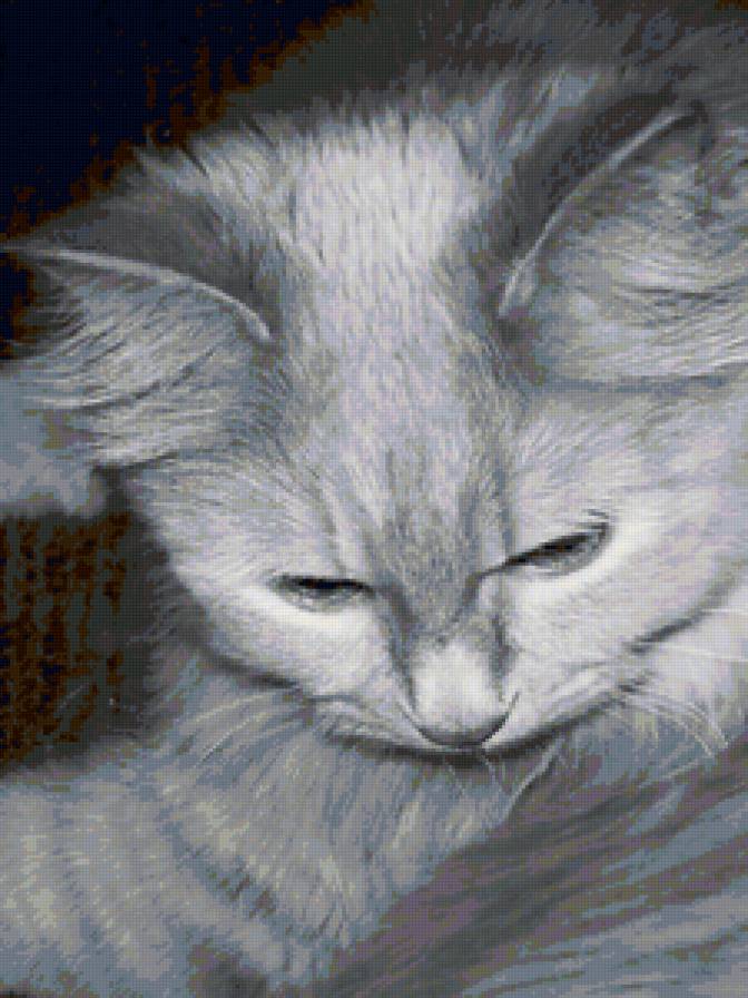 котейка - животные - предпросмотр