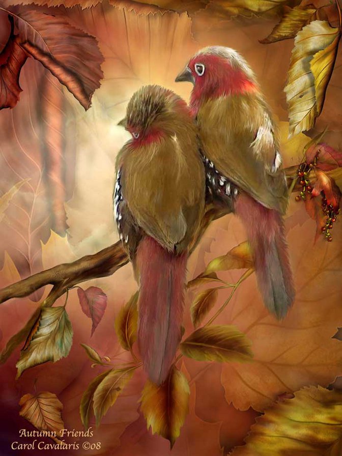 birds - оригинал