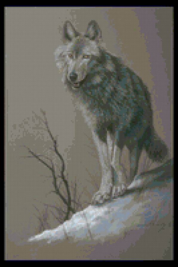 Волк - предпросмотр