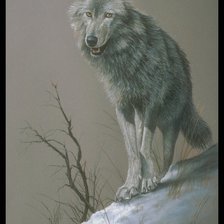 Схема вышивки «Волк»