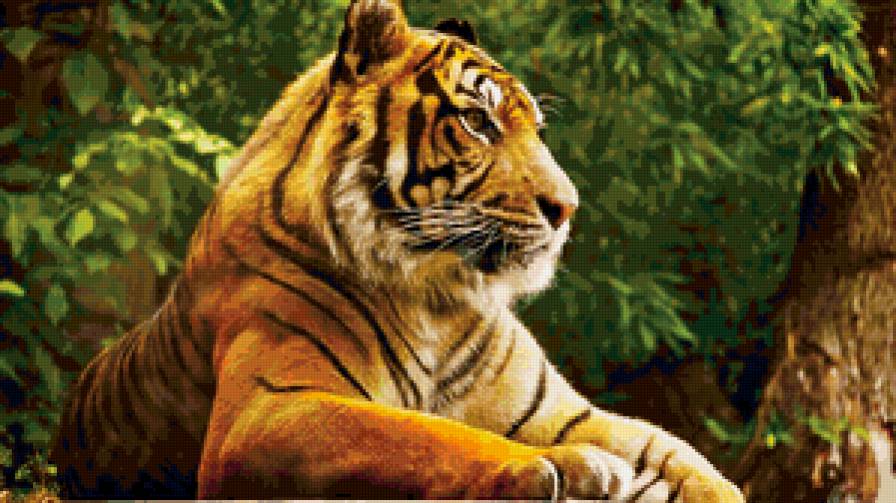 тигр - тигр, кошка - предпросмотр