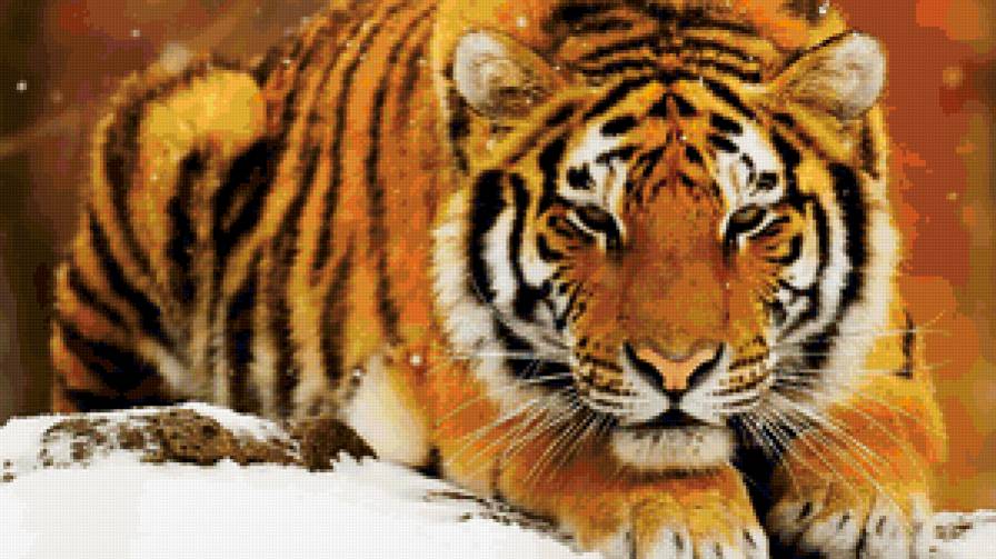 №166719 - тигр - предпросмотр