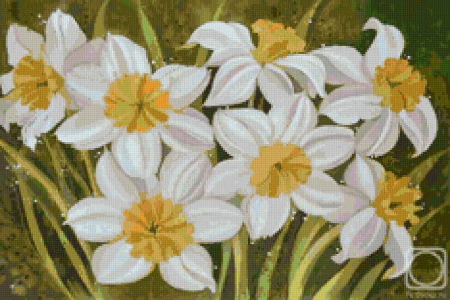 Белые нарциссы - живопись..цветы.нарциссы - предпросмотр