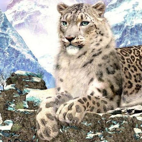 Снежный барс - животные.фауна.барс.кошка.подушка - оригинал