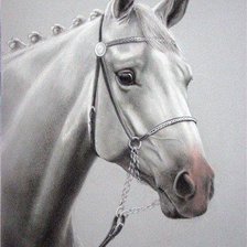 Оригинал схемы вышивки «Белая лошадь» (№166811)