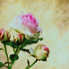 Схема вышивки «№166911»