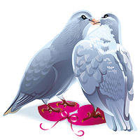 Свадебные голуби - птици, нежность, природа, голуби, любовь, картина - оригинал