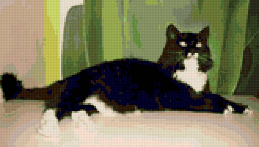 масюха - предпросмотр