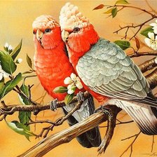 Схема вышивки «№167005»