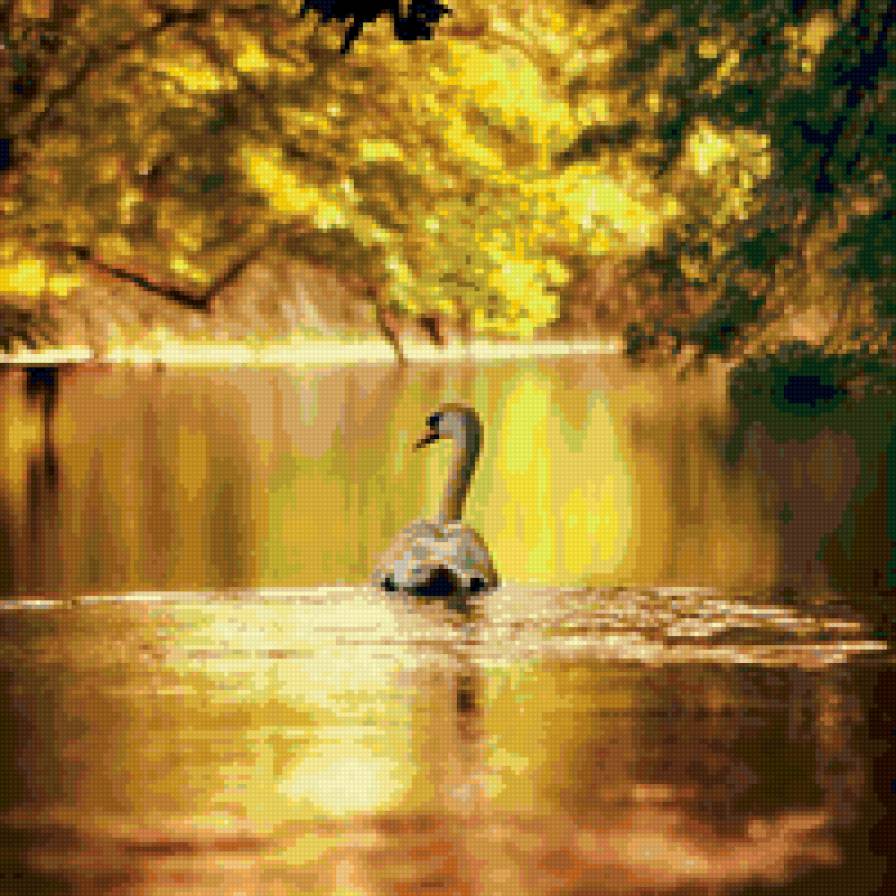 а белый лебедь на пруду... - предпросмотр