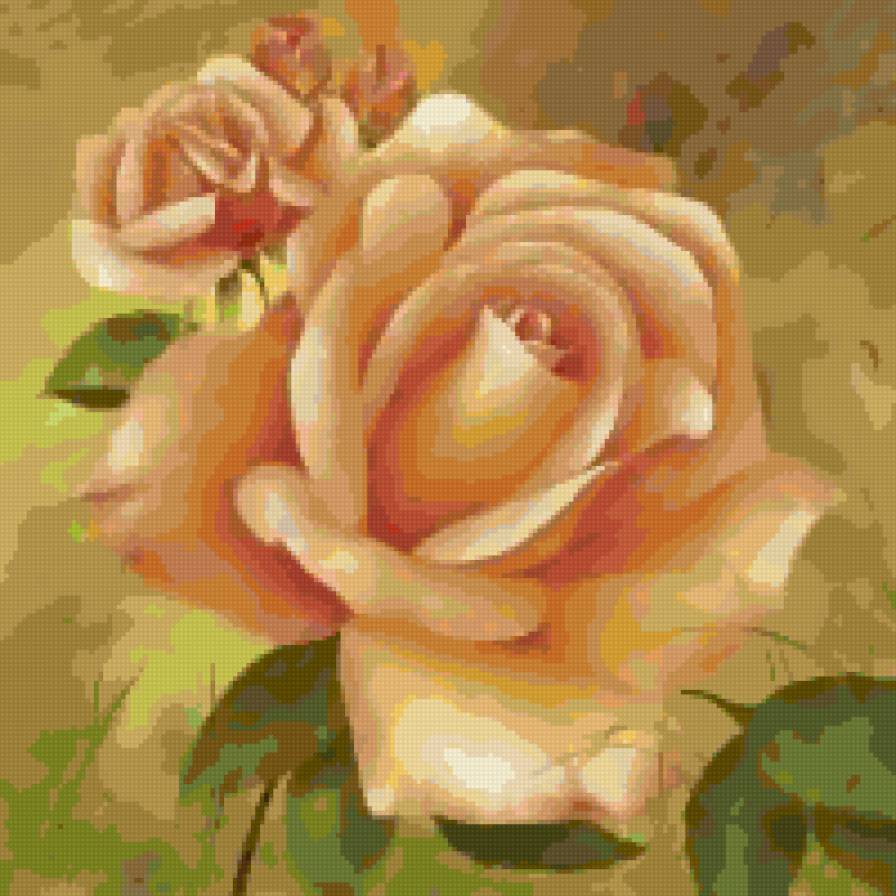 Розы - цветы - предпросмотр