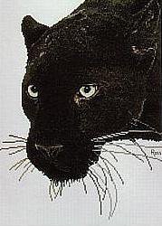 пантера - пантера - оригинал