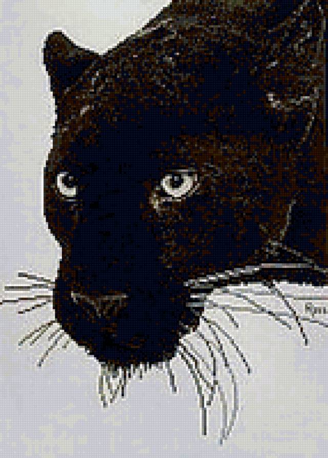 пантера - пантера - предпросмотр