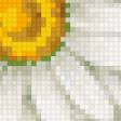 Предпросмотр схемы вышивки «ромашки» (№167167)