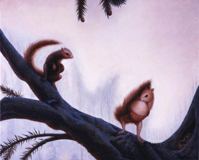 Лицо из белок - белки, лицо - оригинал