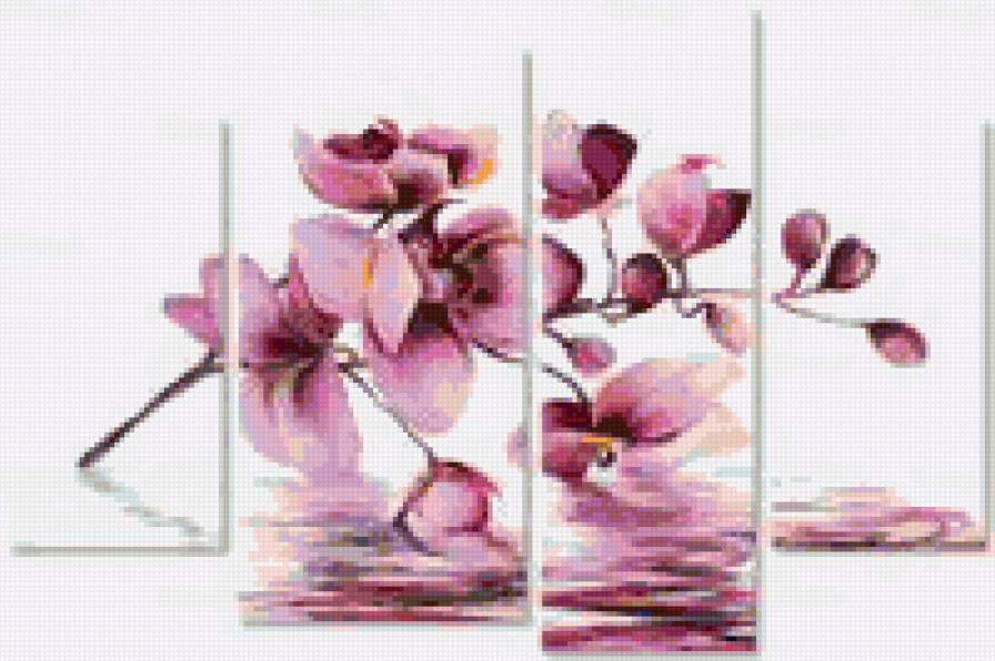 орхидея - предпросмотр