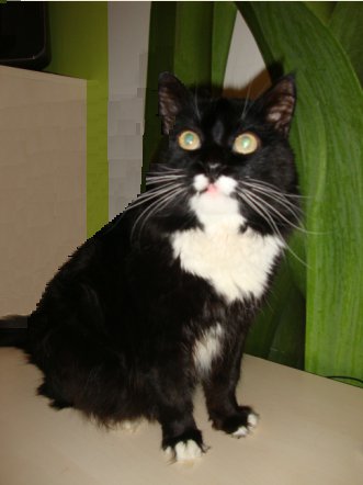 77777 - оригинал