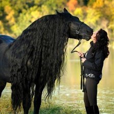 Схема вышивки «Серия "Лошади" Вороной с девушкой»