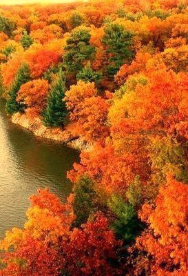 Красочная осень - река, вода, осень, пейзаж, деревья - оригинал