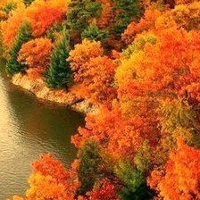 Красочная осень