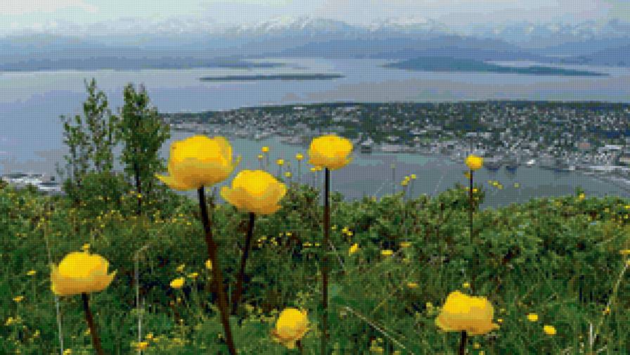 залив - море, кувшинки, горы, лето - предпросмотр