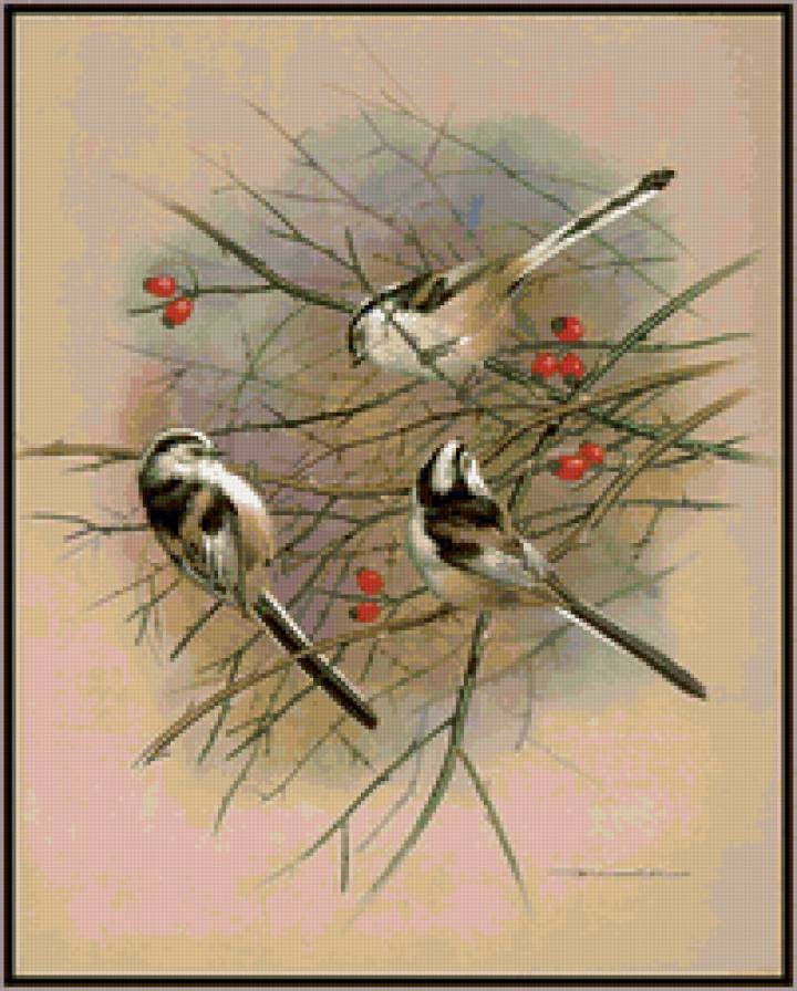 на ветках шиповника - птицы - предпросмотр