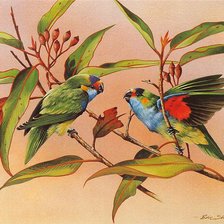 Оригинал схемы вышивки «попугайчики» (№167365)