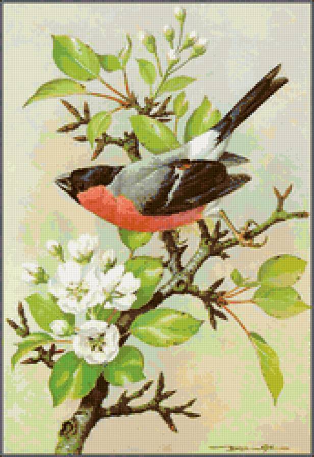 1456465 - птица - предпросмотр