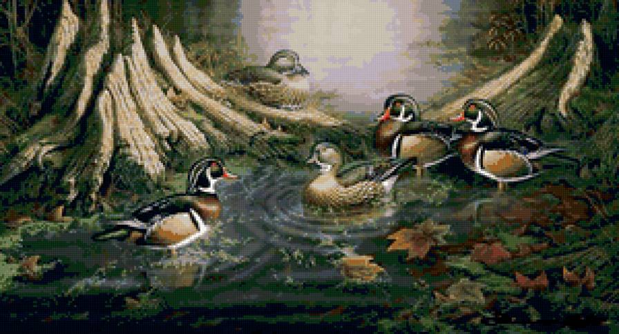 уточки - птицы - предпросмотр