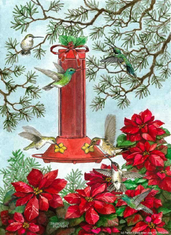 Рождественская - птица, цветы, птичка, пуансетия, птицы, рождество - оригинал