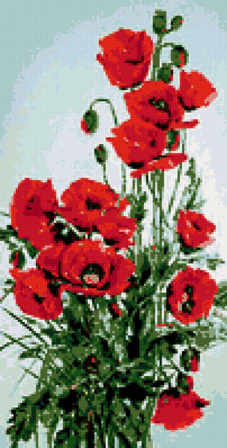 маки - предпросмотр