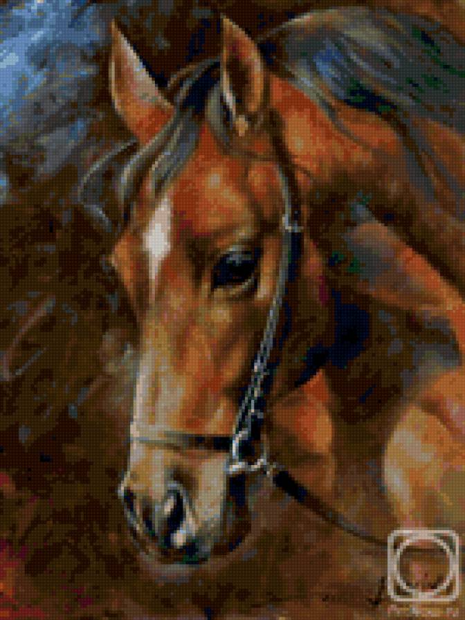 Рыжий жеребец - лошадь - предпросмотр