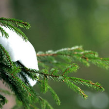 Схема вышивки «Ветка в снегу»