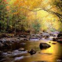 Схема вышивки «природа»